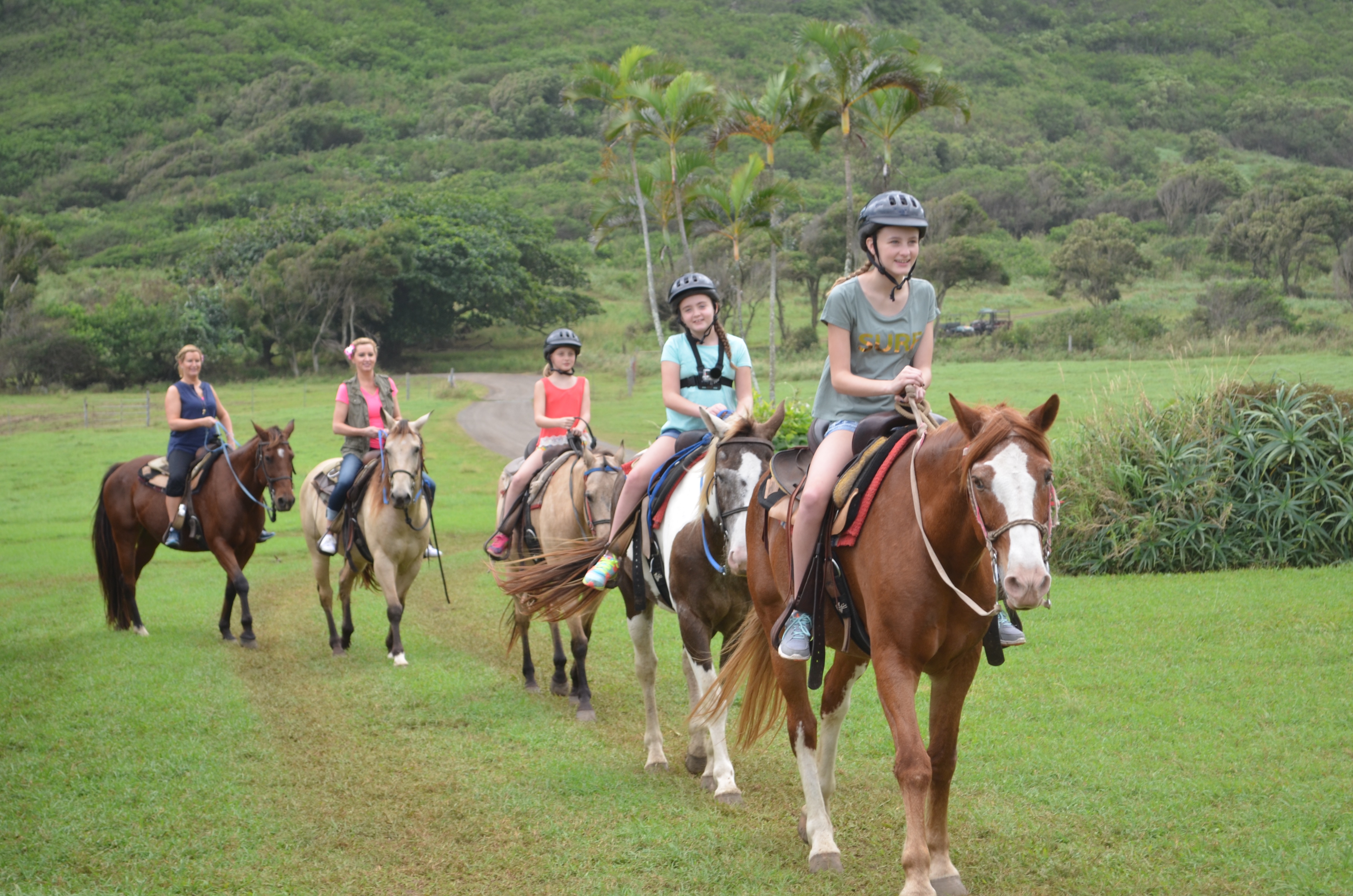 Guided horseback group riding through tropical trail