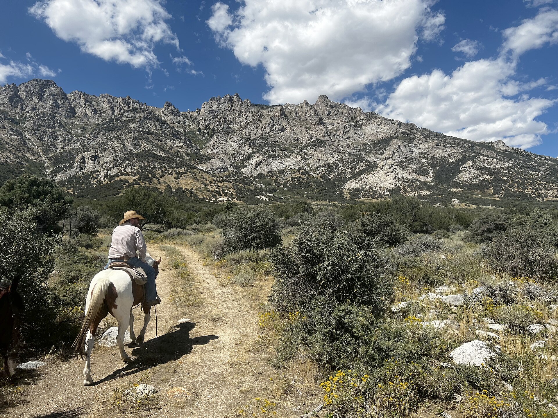 Horseback rider overlooking a scenic mountain landscape